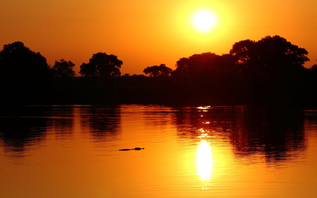 Kafue National Park: Zambia’s Hidden Gem of Untamed Wilderness